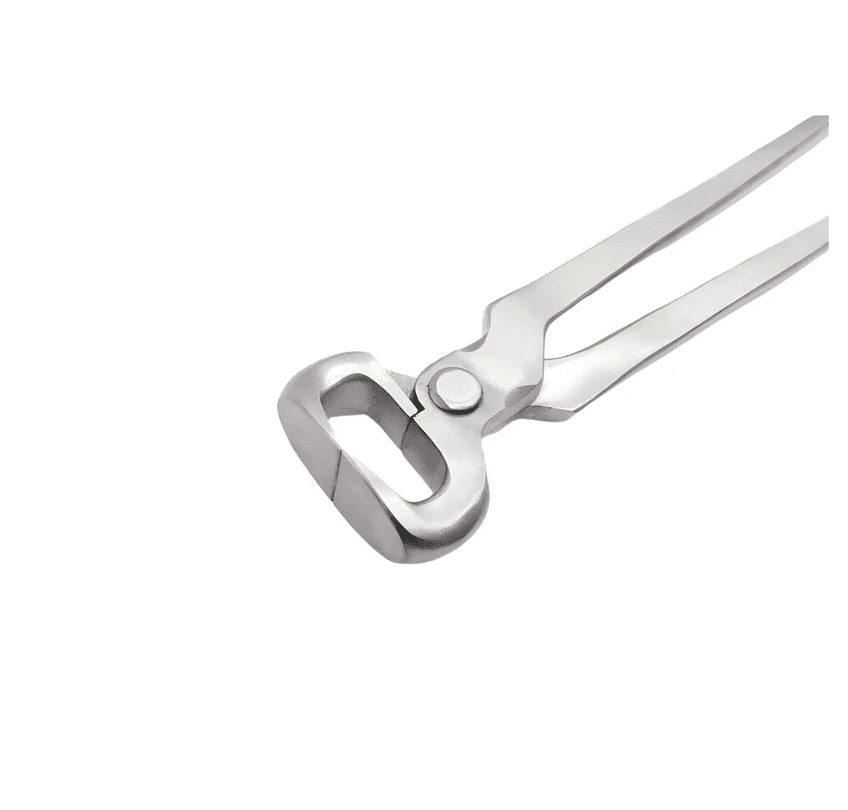 Stainless steel farrier hoof cutter close-up