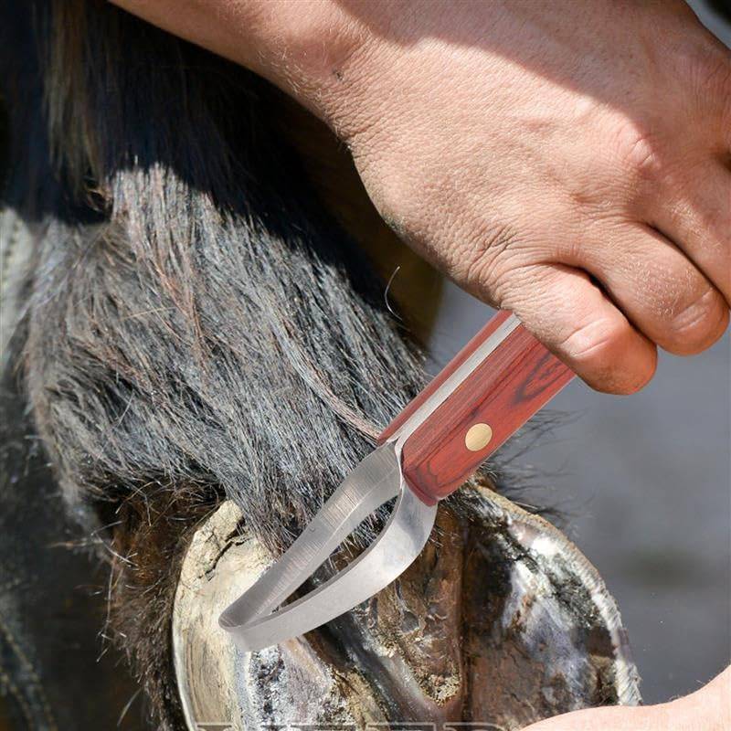 Using hoof knife for trimming horse hooves, practical farrier tool.