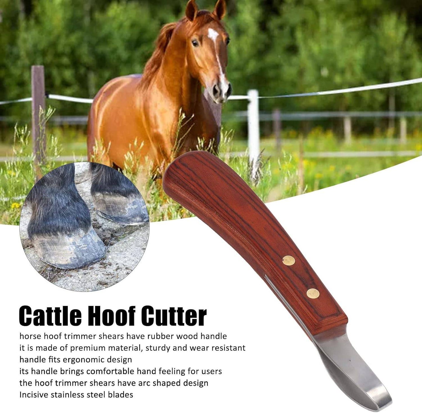 Cattle hoof cutter with wooden handle, premium equestrian tool.